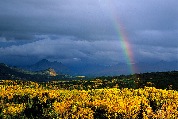 The perfect rainbow over the valley near the entrance to Denali National Park, Alaska.