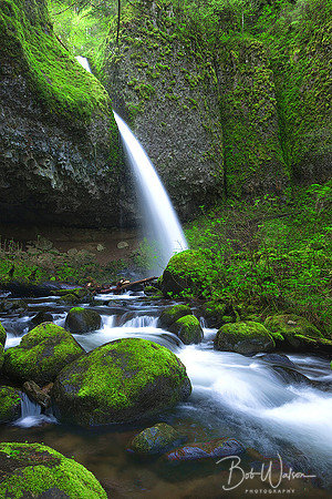 Pony Tail Falls