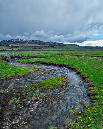 Lamar Valley Stream, Yellowstone National Park, Wyoming
