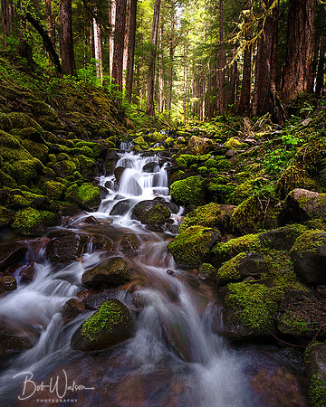 Unnamed Cascades near Sol Duc Falls, Olympic National, Washington