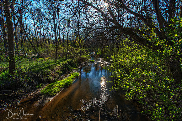 Potato Creek, Northern Indiana