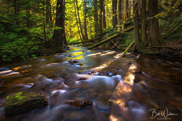Panther Creek, Washington