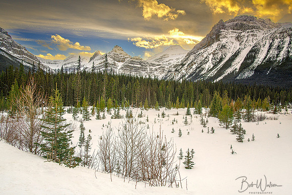 Sunset Near Silverhorn Creek, Banff National Park, Alberta, Canada