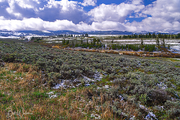Snow Dusting in Yellowstone National Park