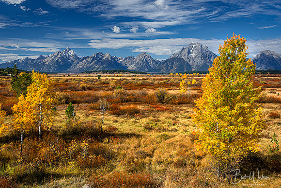 Peak autumn day at Willow Flats, Grand Teton National Park