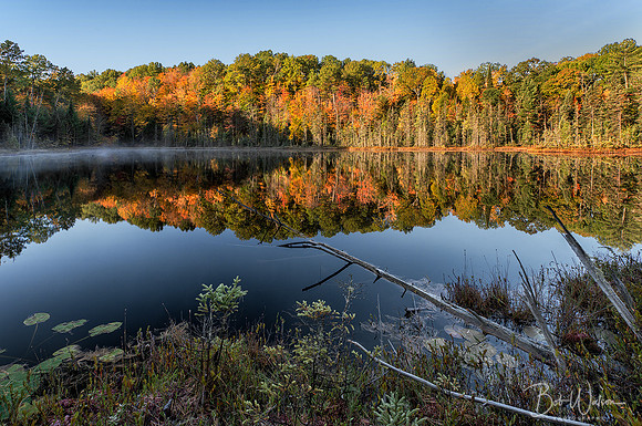 Morning Reflection