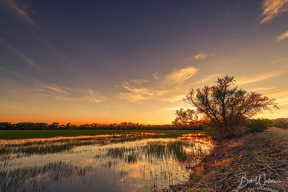 Sunset at Bosque del Apache National Wildlife Refuge, New Mexico