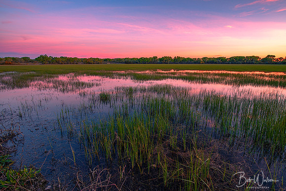 Twilight at Bosque del Apache National Wildlife Refuge, New Mexico