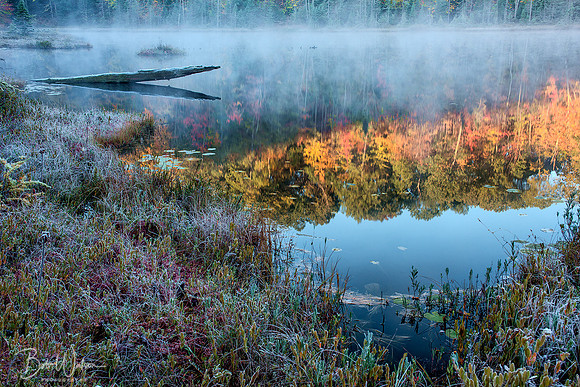Frosty Morning