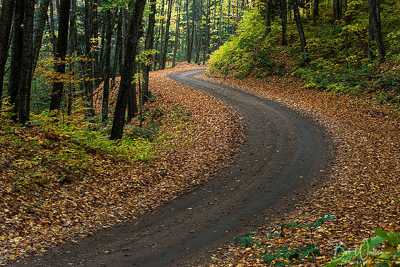Autumn in the Ottawa National Forest, Michigan's Upper Peninsula