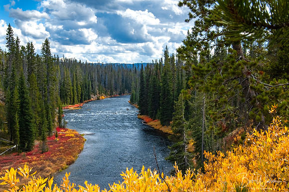 Yellowstone River, Yellowstone National Park