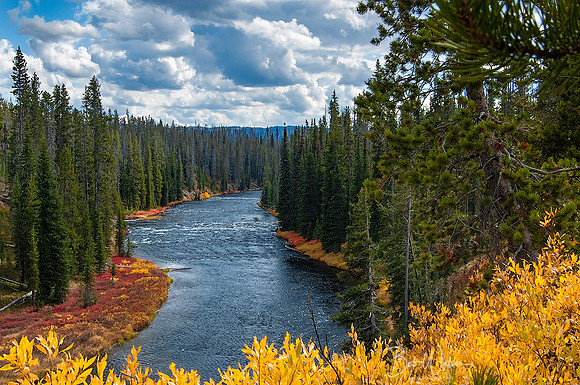 Yellowstone River, Yellowstone National Park
