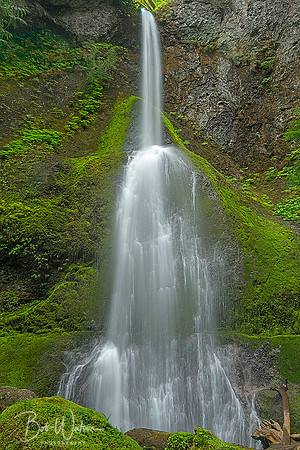 Marymere Falls, Olympic National Park