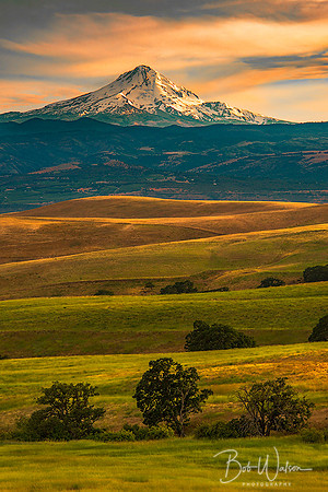 Sunset on Mount Hood, Oregon