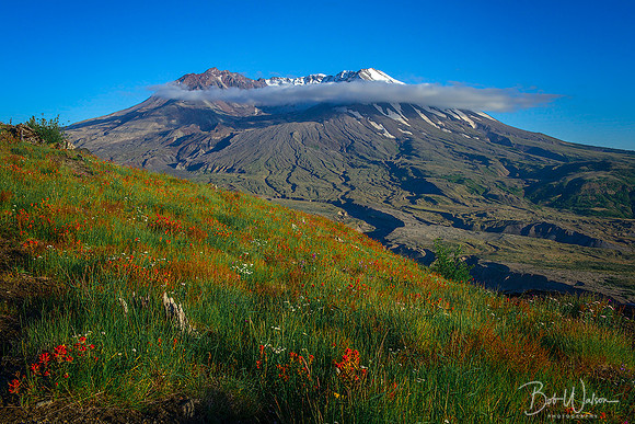 Mount St. Helen, Washington