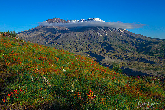 Mount St. Helen, Washington