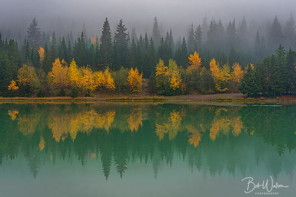 In the Mist
