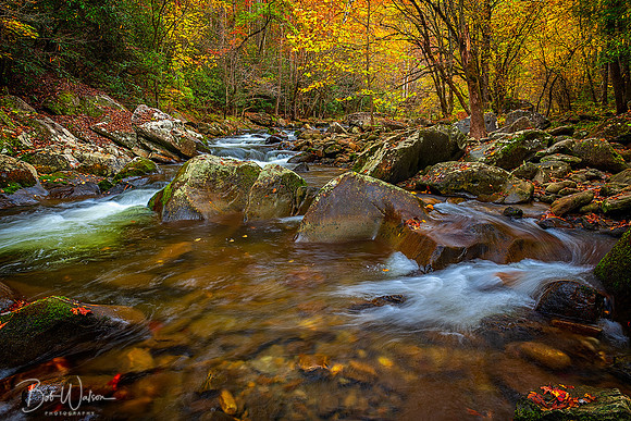 Autumn at Little River, Smoky Mountain National Park, Tennessee