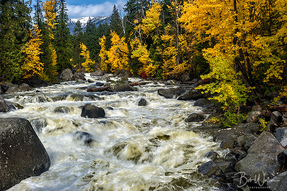 Icicle River, Wenatchee National Forest, Washington