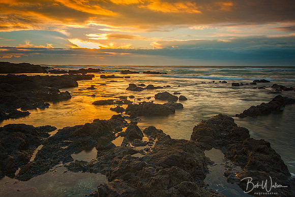 Strawberry Hill Area, Cape Perpetua Scenic Area, Oregon