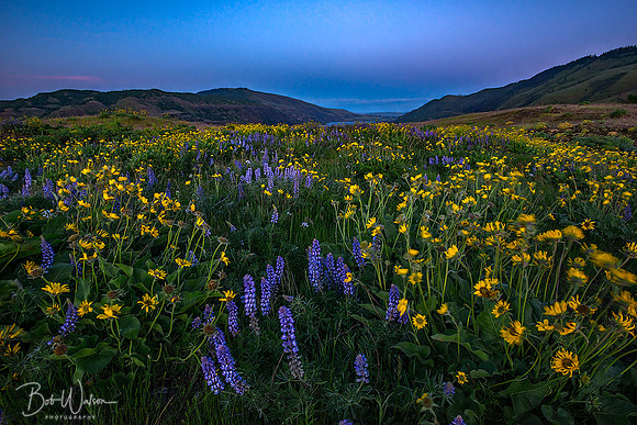 Late Sunset Looking East - Columbia River Gorge