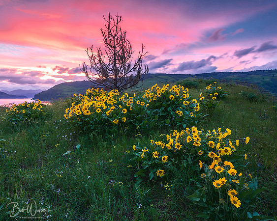 Hidden Jewels II, Columbia River Gorge