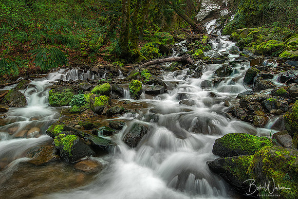 Starvation Creek Falls Cascades, Oregon