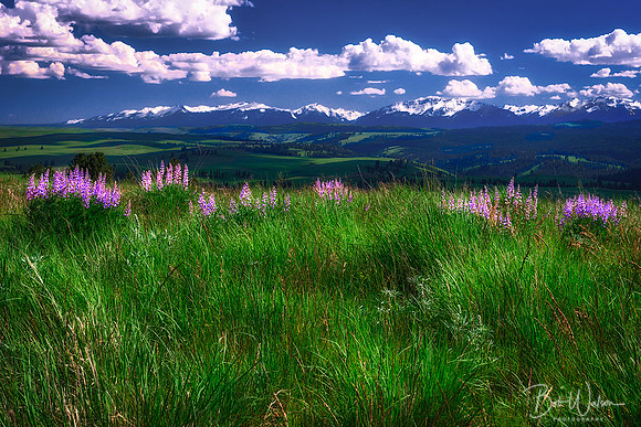 The Wallowas in Spring