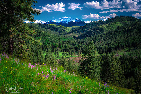 Spring in the Wallowas