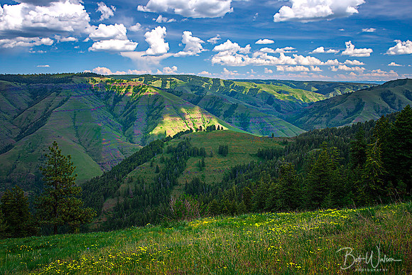 Joseph Canyon, Oregon