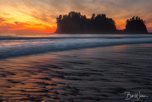 Captivating Twilight