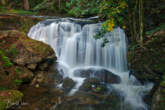 Whatcom Falls, Bellingham, Washington