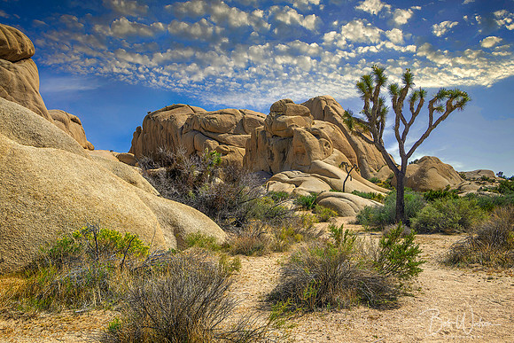 Beautiful Rock Formations in Joshua Tree National Park, California