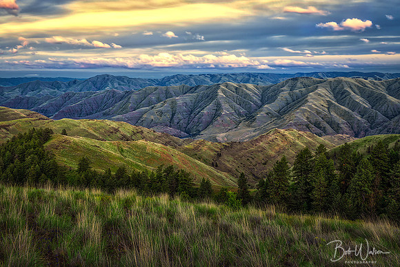 Blue Mountains