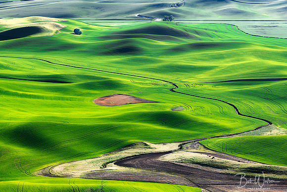 The Palouse