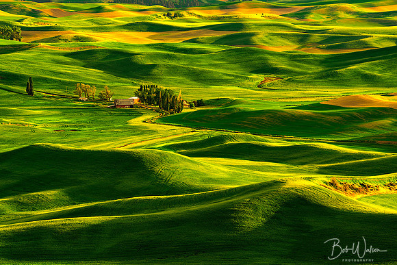 Sunset on the Palouse