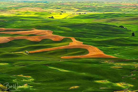 Sunset on the Palouse