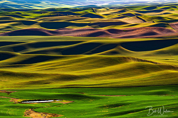 Palouse Layers