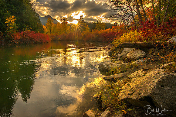 Autumn Sunburst