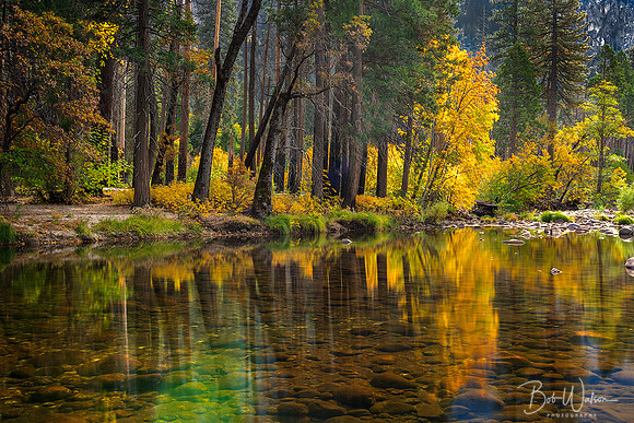 The Merced River of Yosemite National Park reflects the Autumn colors.