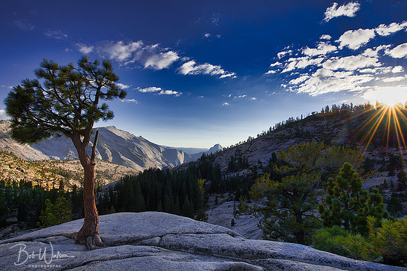 Olmsted Point, Yosemite National Park, California
