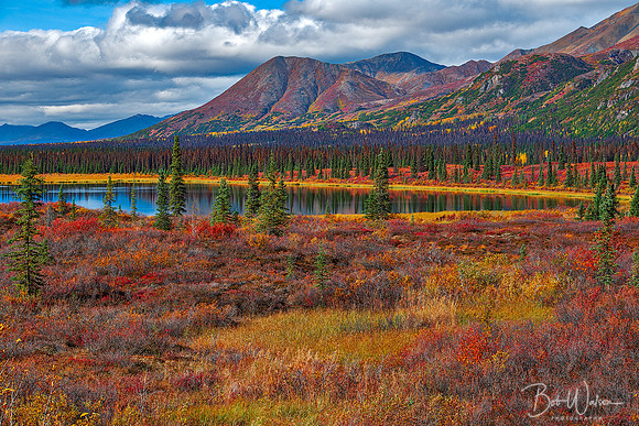 "Denali Autumn", Denali National Park, Alaska