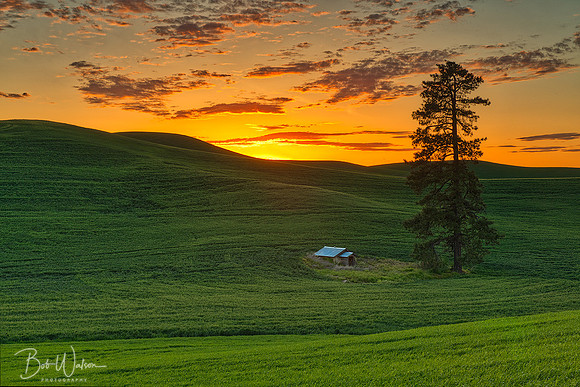 Abandoned Palouse Home