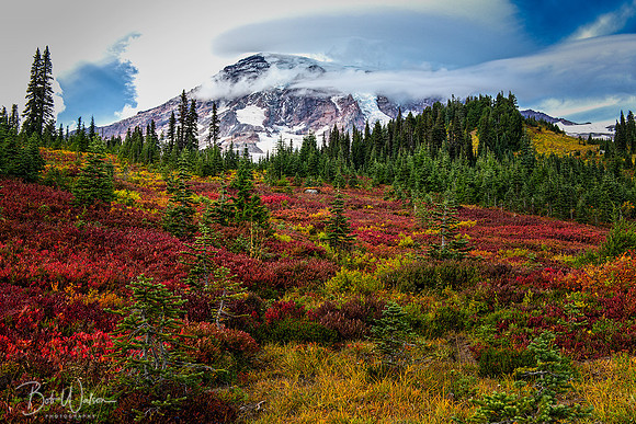 Autumn Colors burst at Mount Rainier, Mount Rainier National Park