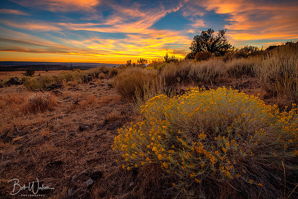 High Desert, Kiger Mustang Country, Oregon
