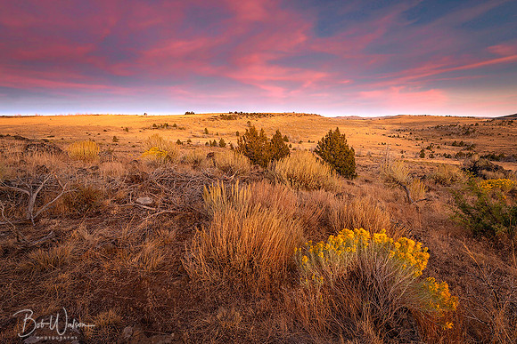 Eastern View of Sunset, High Desert, Kiger Mustang Country, Oregon