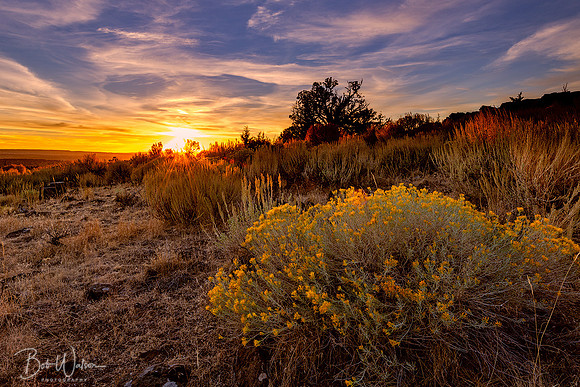 High Desert Sunset, Kiger Mustang Country, Oregon