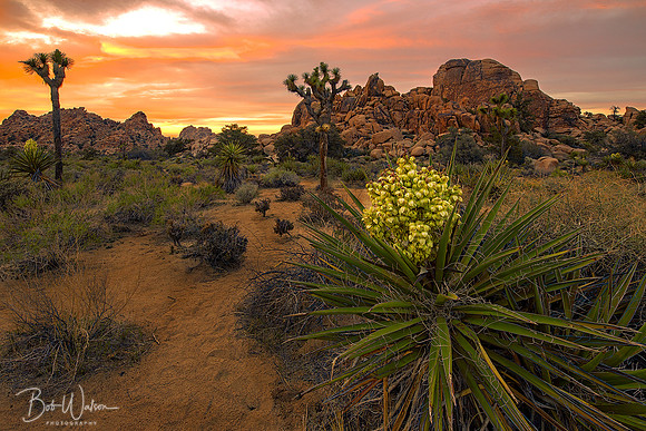 Sunset at Hidden Valley in Joshua Tree National Park, California