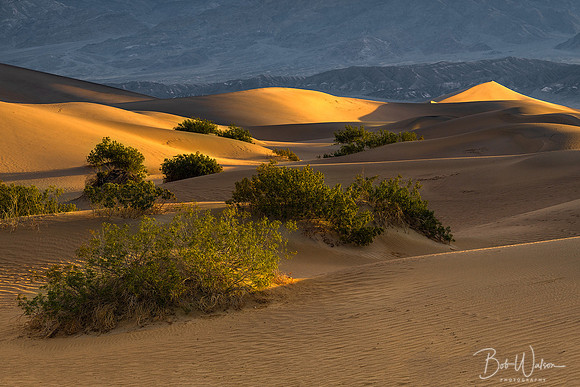 Mesquite Flat Sand Dunes, Death Valley National Park, California