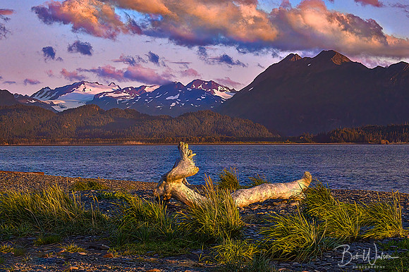 Kachemak Bay, Homer, Alaska